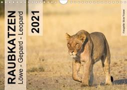 Raubkatzen - Löwe, Gepard, Leopard (Wandkalender 2021 DIN A4 quer)