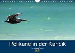 Pelikane in der Karibik - Die vielfältige Tierwelt (Wandkalender 2021 DIN A4 quer)