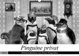 Pinguine privat (Wandkalender 2021 DIN A3 quer)