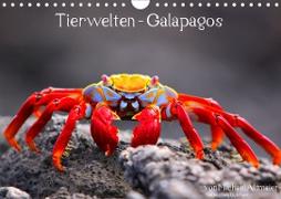 Tierwelten - Galapagos (Wandkalender 2021 DIN A4 quer)