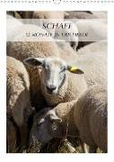 Schafe - 12 Monate in der Herde (Wandkalender 2021 DIN A3 hoch)