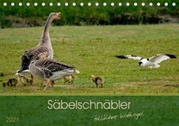 Säbelschnäbler - tollkühne Wattvögel (Tischkalender 2021 DIN A5 quer)