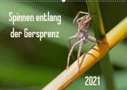 Spinnen entlang der Gersprenz (Wandkalender 2021 DIN A2 quer)