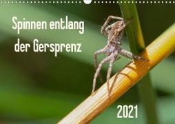 Spinnen entlang der Gersprenz (Wandkalender 2021 DIN A3 quer)
