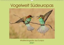 Vogelwelt Südeuropas (Wandkalender 2021 DIN A2 quer)
