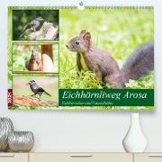 Eichhörnliweg Arosa - Eichhörnchen und Tannenhäher (Premium, hochwertiger DIN A2 Wandkalender 2021, Kunstdruck in Hochglanz)
