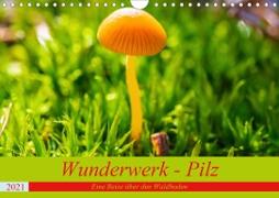 Wunderwerk - Pilz Eine Reise über den Waldboden (Wandkalender 2021 DIN A4 quer)