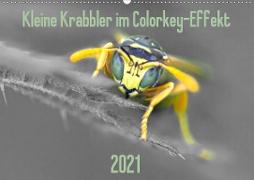 Kleine Krabbler im Colorkey-Effekt (Wandkalender 2021 DIN A2 quer)