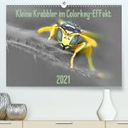 Kleine Krabbler im Colorkey-Effekt (Premium, hochwertiger DIN A2 Wandkalender 2021, Kunstdruck in Hochglanz)