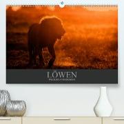 Löwen Wildlife-Fotografien (Premium, hochwertiger DIN A2 Wandkalender 2021, Kunstdruck in Hochglanz)