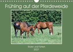Frühling auf der Pferdeweide (Wandkalender 2021 DIN A4 quer)
