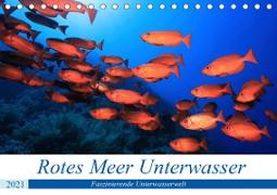 Rotes Meer Unterwasser (Tischkalender 2021 DIN A5 quer)