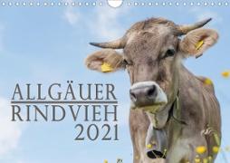 Allgäuer Rindvieh 2021 (Wandkalender 2021 DIN A4 quer)