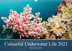 Colourful Underwater Life 2021 (Wall Calendar 2021 DIN A3 Landscape)