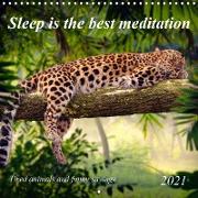Sleep is the best meditation (Wall Calendar 2021 300 × 300 mm Square)