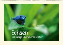 Echsen - Schuppige Überlebenskünstler (Wandkalender 2021 DIN A2 quer)