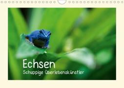 Echsen - Schuppige Überlebenskünstler (Wandkalender 2021 DIN A4 quer)