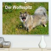 Der Wolfsspitz (Premium, hochwertiger DIN A2 Wandkalender 2021, Kunstdruck in Hochglanz)