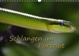 Schlangen im Portrait (Wandkalender 2021 DIN A3 quer)