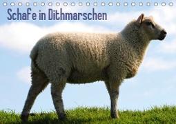 Schafe in Dithmarschen (Tischkalender 2021 DIN A5 quer)