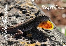 Wilde Fauna - Reptilien (Wandkalender 2021 DIN A2 quer)