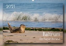 Baltrum - Ein Tag am Strand (Wandkalender 2021 DIN A2 quer)