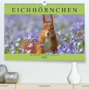 Eichhörnchen im Königlichen Garten (Premium, hochwertiger DIN A2 Wandkalender 2021, Kunstdruck in Hochglanz)