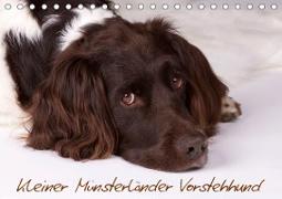 Kleiner Münsterländer Vorstehhund (Tischkalender 2021 DIN A5 quer)