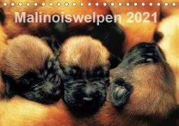 Malinoiswelpen 2021 (Tischkalender 2021 DIN A5 quer)