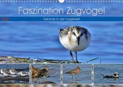 Faszination Zugvögel - Rekorde in der Vogelwelt (Wandkalender 2021 DIN A3 quer)