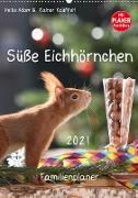 Süße Eichhörnchen (Wandkalender 2021 DIN A2 hoch)