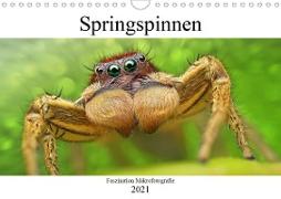 Faszination Makrofotografie: Springspinnen (Wandkalender 2021 DIN A4 quer)