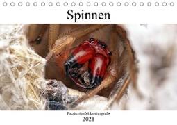 Faszination Makrofotografie: Spinnen (Tischkalender 2021 DIN A5 quer)