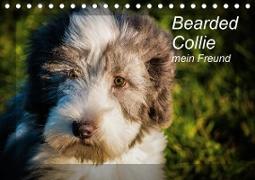 Bearded Collie, mein Freund (Tischkalender 2021 DIN A5 quer)