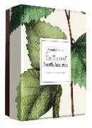 The Trees of North America Detailed Notecard Set