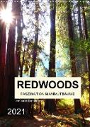 Redwoods - Faszination Mammutbäume (Wandkalender 2021 DIN A3 hoch)