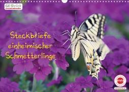GEOclick Lernkalender: Steckbriefe einheimischer Schmetterlinge (Wandkalender 2021 DIN A3 quer)