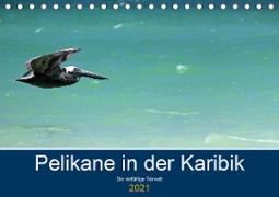 Pelikane in der Karibik - Die vielfältige Tierwelt (Tischkalender 2021 DIN A5 quer)