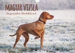 Magyar Vizsla - Ungarischer Vorstehhund (Wandkalender 2021 DIN A4 quer)