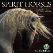 Spirit Horses 2021 Wall Calendar: Photographs by Tony Stromberg