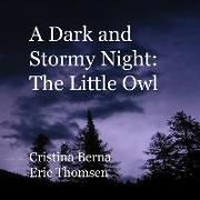 A Dark and Stormy Night: The Little Owl