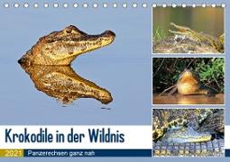 Krokodile in der Wildnis (Tischkalender 2021 DIN A5 quer)