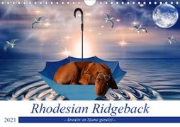 Rhodesian Ridgeback - kreativ in Szene gesetzt - (Wandkalender 2021 DIN A4 quer)