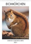 Eichhörnchen - Einfach zum Verlieben (Wandkalender 2021 DIN A4 hoch)