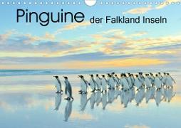 Pinguine der Falkland Inseln (Wandkalender 2021 DIN A4 quer)