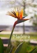 Madeira - wiederentdeckt (Tischkalender 2021 DIN A5 hoch)