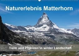 Naturerlebnis Matterhorn (Wandkalender 2021 DIN A2 quer)
