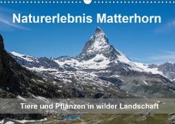 Naturerlebnis Matterhorn (Wandkalender 2021 DIN A3 quer)
