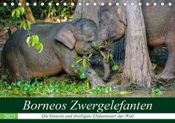 Borneos Zwergelefanten (Tischkalender 2021 DIN A5 quer)
