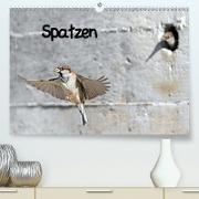 Spatzen (Premium, hochwertiger DIN A2 Wandkalender 2021, Kunstdruck in Hochglanz)